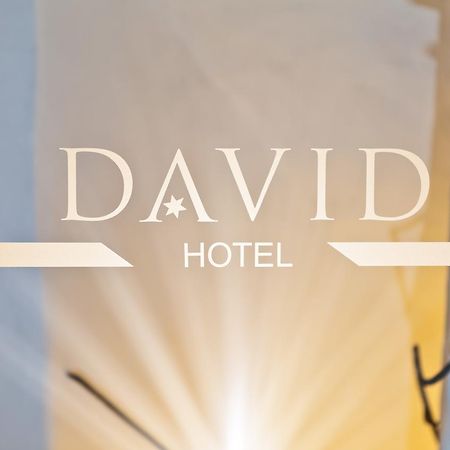 Hotel David An Der Donau ريغنسبورغ المظهر الخارجي الصورة