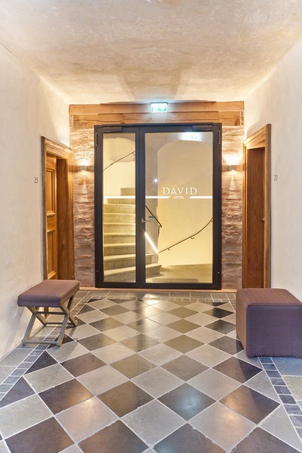 Hotel David An Der Donau ريغنسبورغ المظهر الخارجي الصورة