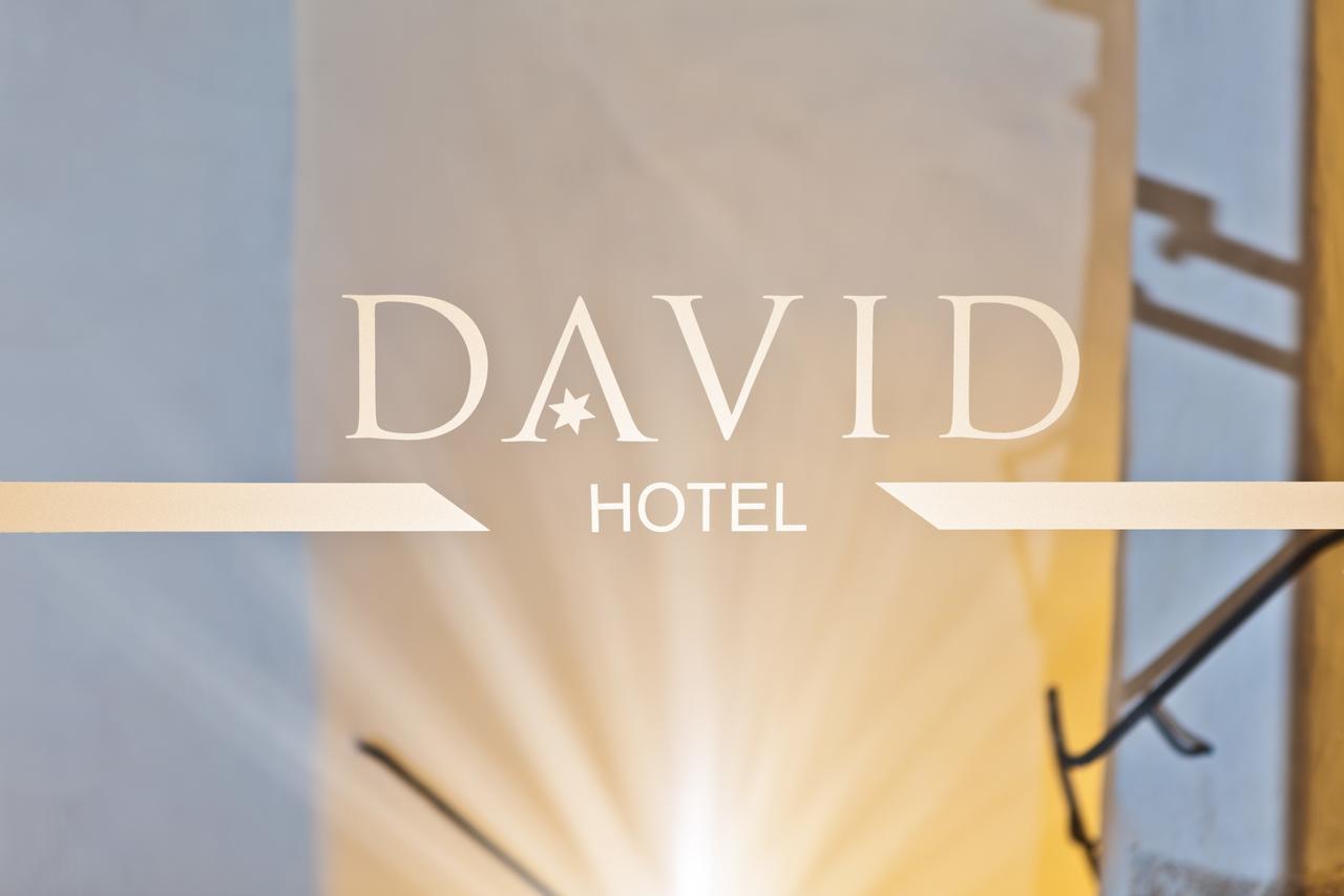 Hotel David An Der Donau ريغنسبورغ المظهر الخارجي الصورة
