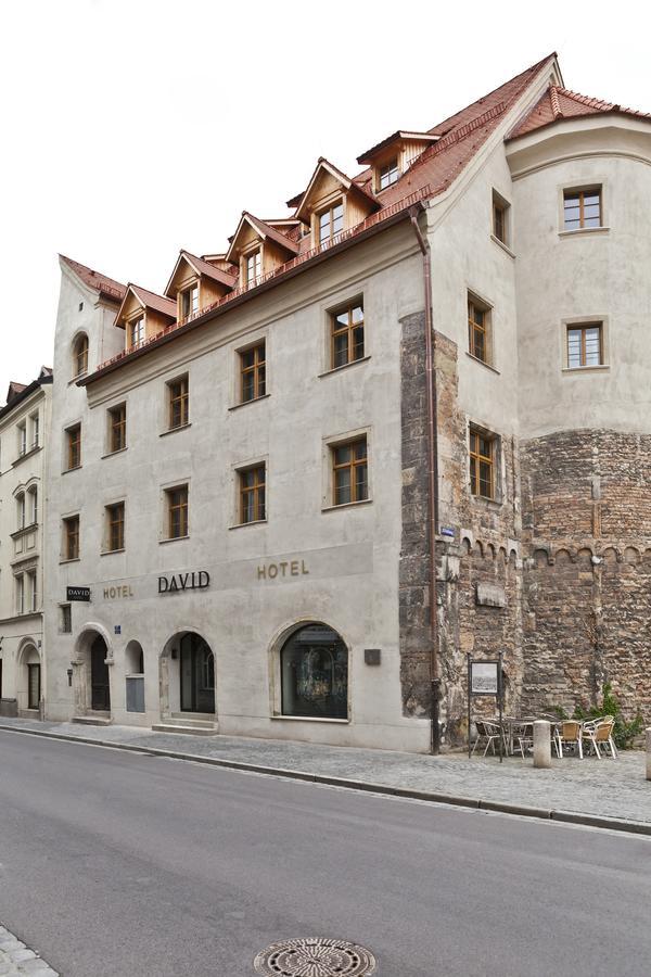 Hotel David An Der Donau ريغنسبورغ المظهر الخارجي الصورة